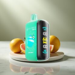 ELF BAR RAYA D3 25000 Puff Hegyi Menta Töltőható 850mAh Type-C